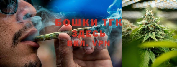 индика Аркадак