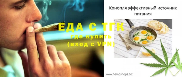 индика Аркадак