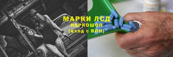 гидра Алексин