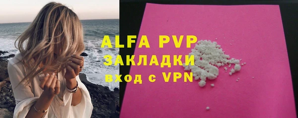 индика Аркадак