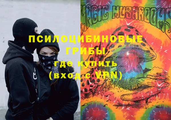 Альфа ПВП Алзамай