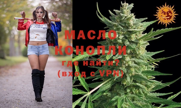 индика Аркадак