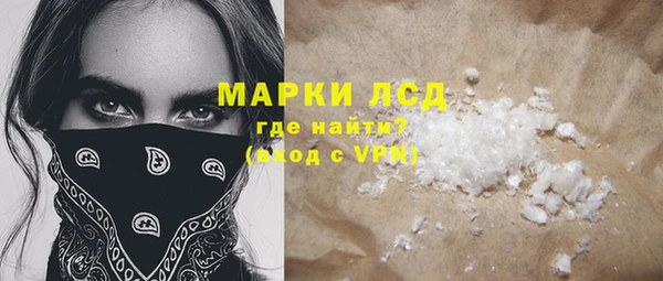 индика Аркадак