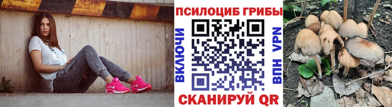 Псилоцибиновые грибы мицелий  Конаково 